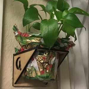 Laser Cut Plant Holder_Custom Made